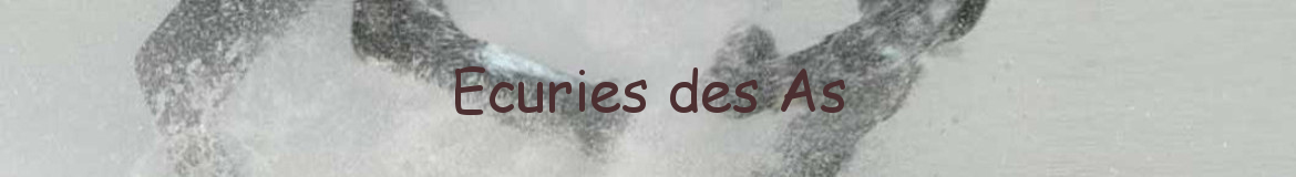 Ecuries des As